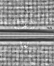 Wasserzeichen FR7600-368_17
