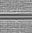 Wasserzeichen FR7600-368_25
