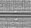 Wasserzeichen FR7600-368_28