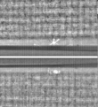 Wasserzeichen FR7600-368_40