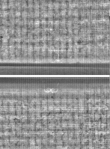 Wasserzeichen FR7600-368_50