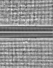 Wasserzeichen FR7600-368_107
