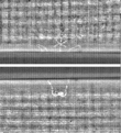 Wasserzeichen FR7600-368_109