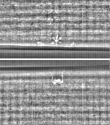 Wasserzeichen FR7600-368_112