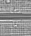 Wasserzeichen FR7600-368_124