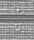 Wasserzeichen FR7600-368_125