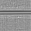 Wasserzeichen FR7600-360_43