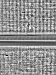 Wasserzeichen FR7600-559_3