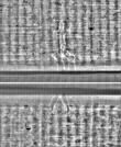 Wasserzeichen FR7600-559_4