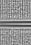 Wasserzeichen FR7600-559_7
