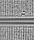 Wasserzeichen FR7600-559_16