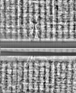 Wasserzeichen FR7600-559_18