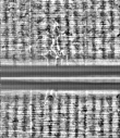 Wasserzeichen FR7600-559_20