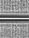 Wasserzeichen FR7600-559_52