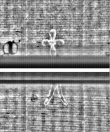 Wasserzeichen FR7600-559_54