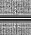 Wasserzeichen FR7600-559_56