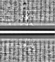 Wasserzeichen FR7600-559_64