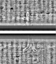 Wasserzeichen FR7600-559_66