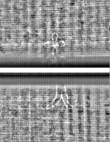 Wasserzeichen FR7600-559_67