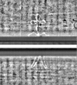 Wasserzeichen FR7600-559_76
