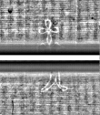 Wasserzeichen FR7600-559_79
