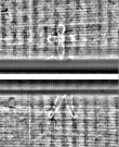 Wasserzeichen FR7600-559_88