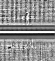 Wasserzeichen FR7600-559_90