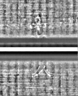 Wasserzeichen FR7600-559_92