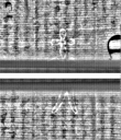 Wasserzeichen FR7600-559_103