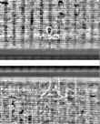 Wasserzeichen FR7600-559_112