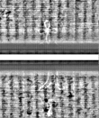 Wasserzeichen FR7600-559_114