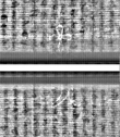 Wasserzeichen FR7600-559_116
