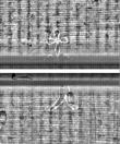 Wasserzeichen FR7600-559_128