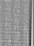 Wasserzeichen IS5000-02-0160_47r