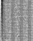 Wasserzeichen IS5000-02-0160_49r
