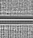 Wasserzeichen FR7600-559_137