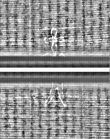Wasserzeichen FR7600-559_139