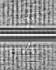 Wasserzeichen FR7600-559_147