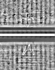Wasserzeichen FR7600-559_149