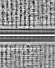 Wasserzeichen FR7600-559_151