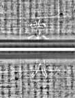 Wasserzeichen FR7600-559_161