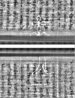 Wasserzeichen FR7600-559_164