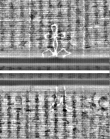 Wasserzeichen FR7600-559_172