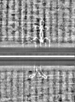 Wasserzeichen FR7600-559_173