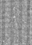 Wasserzeichen IS5000-02-0163o_5r