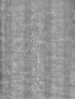 Wasserzeichen IS5000-02-0202d_6v