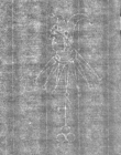 Wasserzeichen IS5000-02-0202d_7v