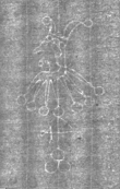 Wasserzeichen IS5000-02-0208_1v