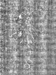 Wasserzeichen IS5000-02-0209_93v