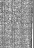 Wasserzeichen IS5000-02-0210_16v